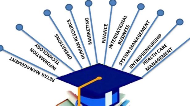 MBA Diverse Fields