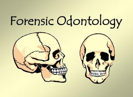 What is Forensic Dentistry?