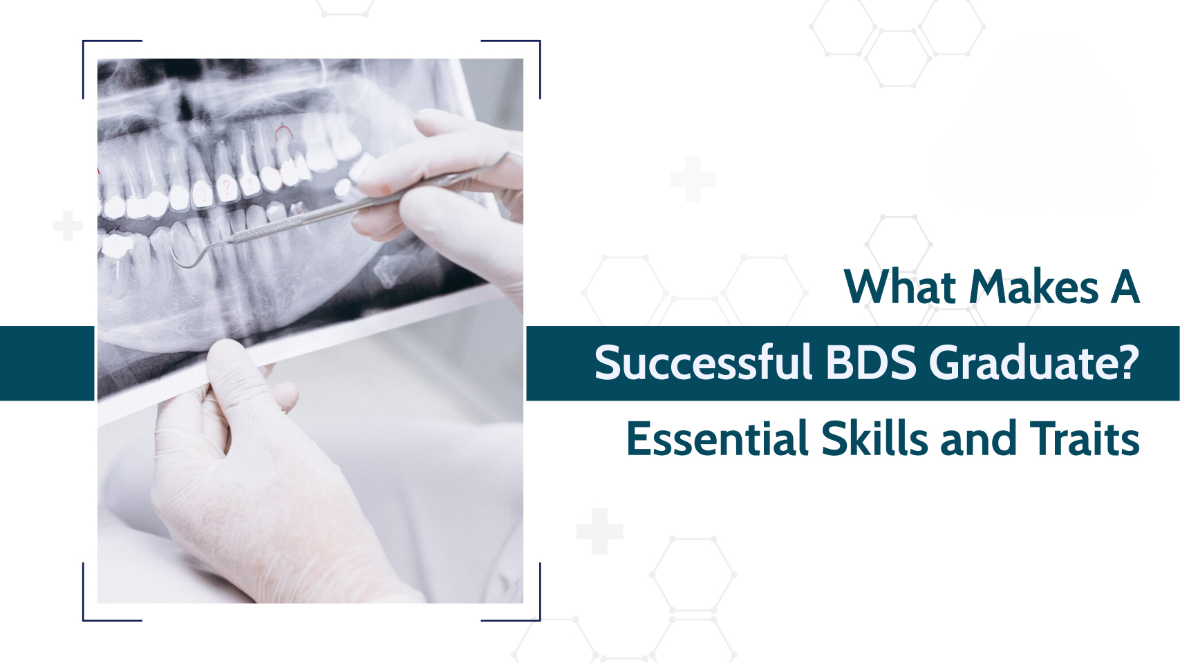 Mastering the Essentials: A Guide for BDS Students.