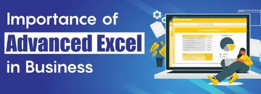 What is the Importance of Advanced Excel in Business?