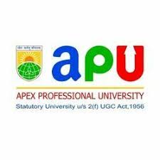 School of Law and Juridical Science, Apex Professional University, East Siang, Arunachal Pradesh