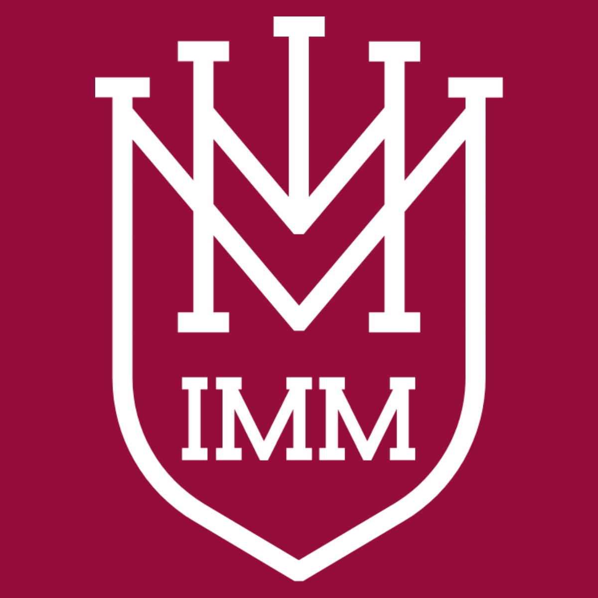 Institute of Marketing and Management (IMM)