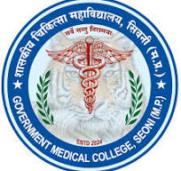 Government Medical College Seoni