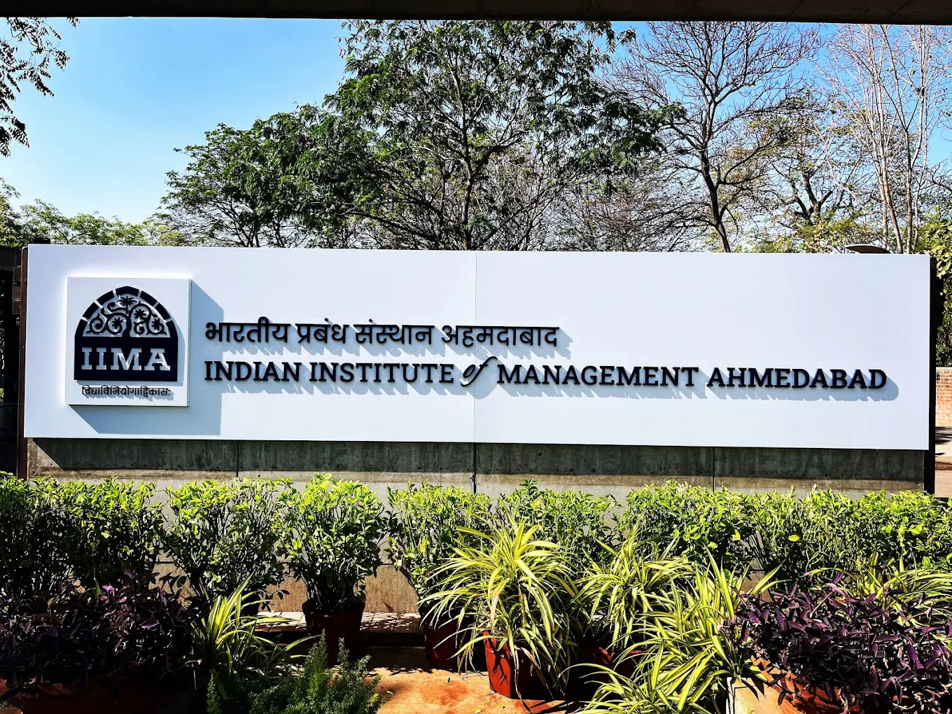 Best MBA Colleges in India : Fees, Placements & Entrance Exam