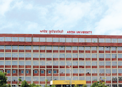 ADESH UNIVERSITY