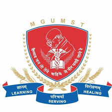 Mahatma Gandhi Medical College and Hospital, Sitapur, Jaipur