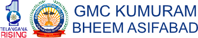 GOVERNMENT MEDICAL COLLEGE KUMURAM BHEEM ASIFAFABAD