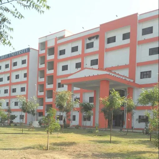 Madhav University