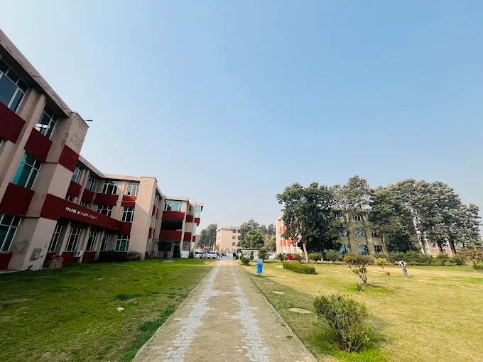 Rayat Bahra University
