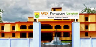 School of Law and Juridical Science, Apex Professional University, East Siang, Arunachal Pradesh