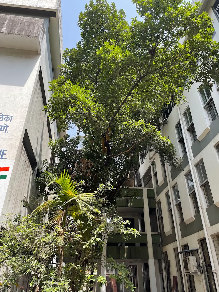 Smt. Kamalatai Kisan Kathore Law College, Thane, Maharashtra
