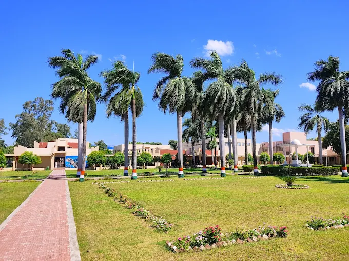 Madan Mohan Malaviya University of Technology